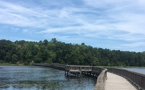 Dam #1 Bridge at Newport News Park